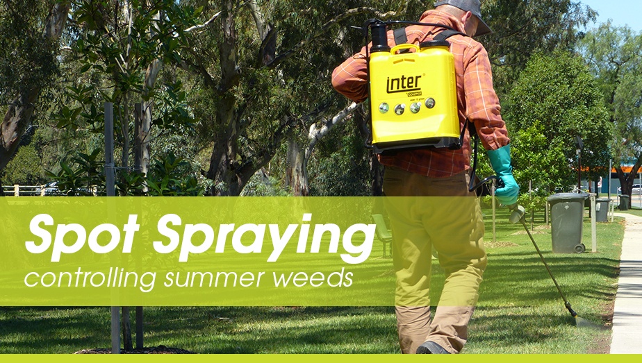 tti-blog-controlling-summer-weeds.jpg